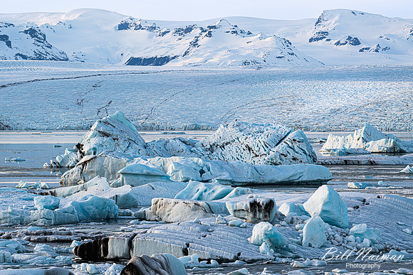 Jokulsarlon Glacier Lagoon-2025_03_15-8895