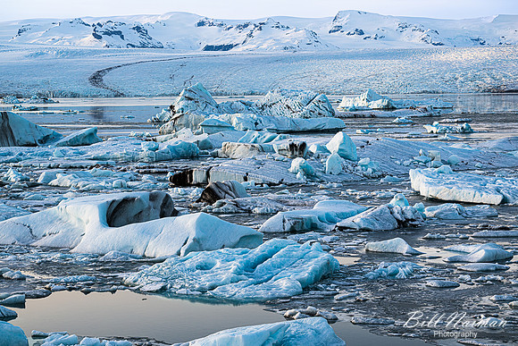 Jokulsarlon Glacier Lagoon-2025_03_15-8897