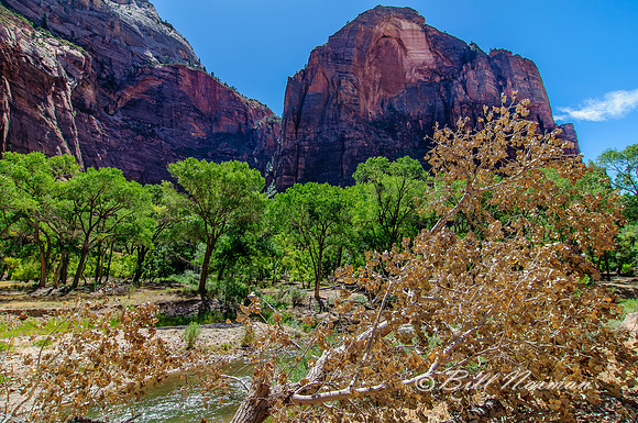Trail Along the Virgin River