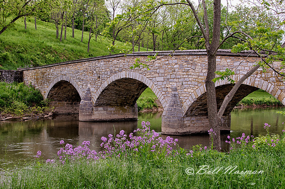 The Burnside Bridge