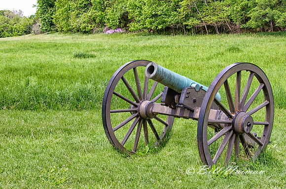 Artillery - 12 pound Napoleon