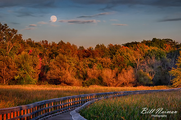 Metro Park Lake to Lake Trail - Middleburg Hts - Moonrise