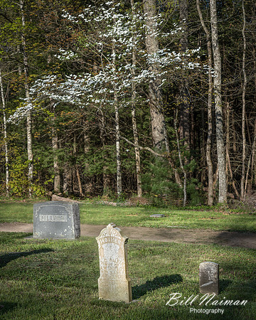 Primitive Baptist Church Graveyard - 2015 (2)