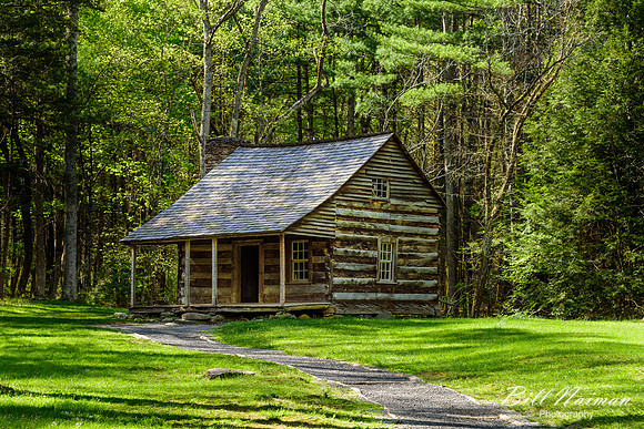 Carter Shields Cabin - 2015 (5)