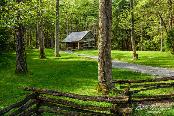 Carter Shields Cabin - 2015 (4)