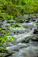 Roadside Cascade - Tremont - 2015 (1)