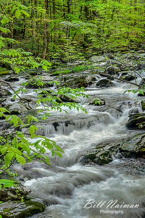 Roadside Cascade - Tremont - 2015 (1)