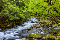 Roadside Cascade - Tremont  - 2015 (2)