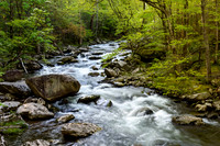 Roadside Cascade - Tremont - 2015 (3)