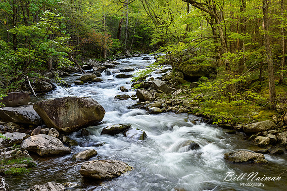 Roadside Cascade - Tremont - 2015 (3)