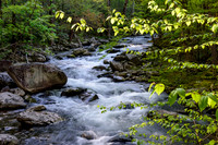 Roadside Cascade - Tremont - 2015 (4)