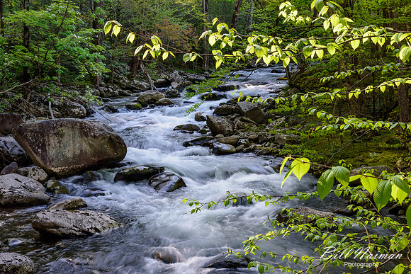 Roadside Cascade - Tremont - 2015 (4)