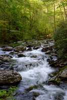 Roadside Cascade - Tremont - 2015 (5)