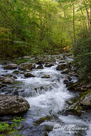 Roadside Cascade - Tremont - 2015 (5)