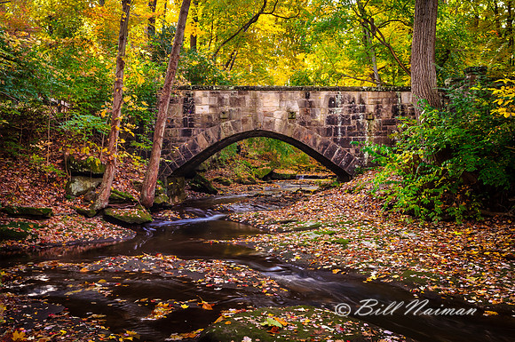 Plum Creek (4)
