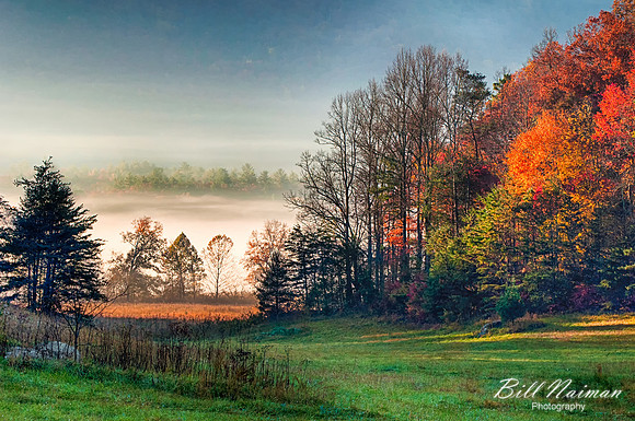 Cades Cove - an Island in the Fog - 2012