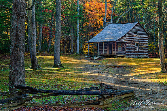 Carter Shields Cabin - 2012 (1)