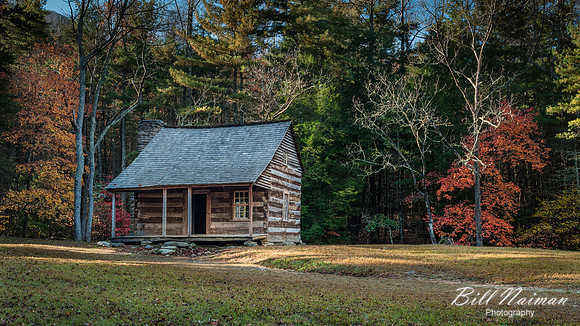 Carter Shields Cabin - 2012(2)
