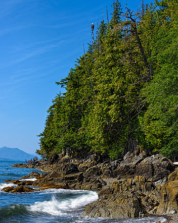 Coast Guard Beach