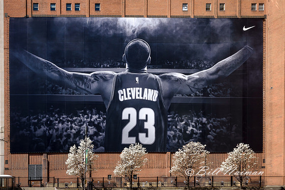 LeBron James Sign