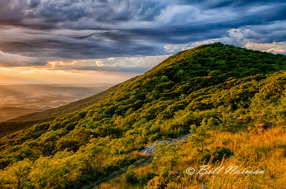 Sunset - Skyline Drive - Timber Hollow Overlook - Oil Paint Finish