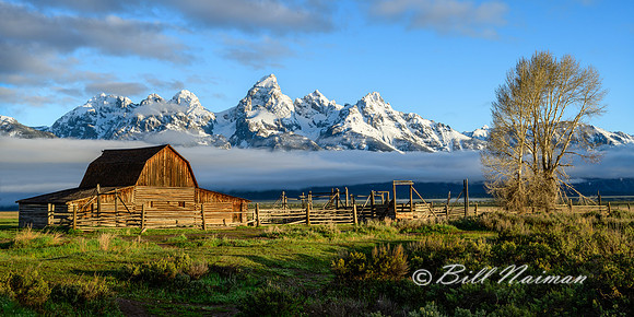 John Moulton Barn 2x1 print ratio - 2022 (1) 2022