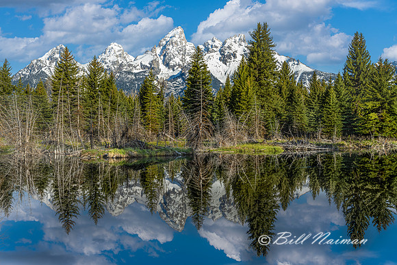Schwabacher Landing - 2022 (3)