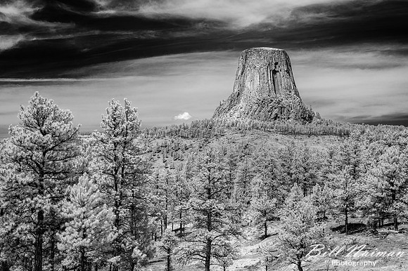Devil's Tower - Infrared 590nm- 2022 (3)