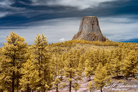 Devil's Tower - Infrared 590nm- false color - 2022 (3)