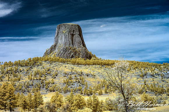 Devil's Tower - Infrared 590nm- false color - 2022(2