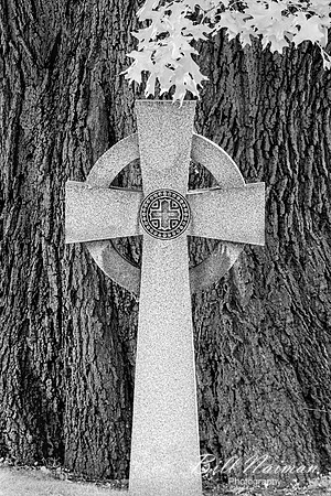 Lakeview Cemetery - Celtic Cross (4)