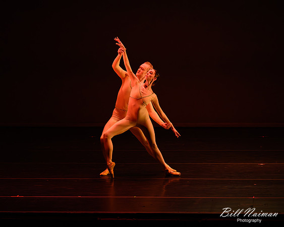 Adagio 2026_02_28-1271