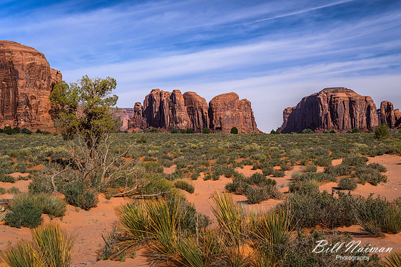 Monument Valley-Loop Road-2026_03_28-1556
