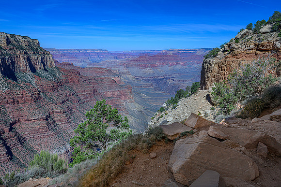 Arizona-Grand Canyon-2026_03_24-0765