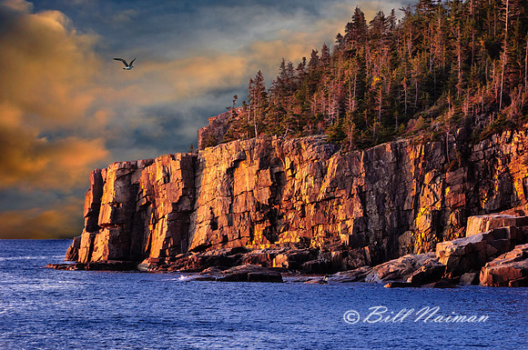 Sunrise - Acadia Coastline - Otter Cliffs