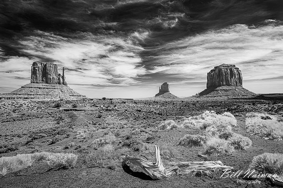 Monument Valley Mittens and Merrick-2026_03_28-8842