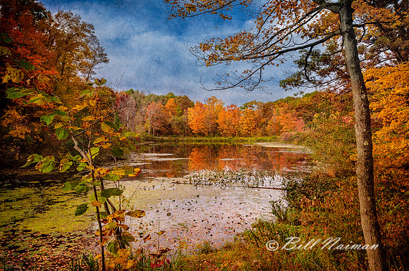 Fall Foliage and Pond - Textured