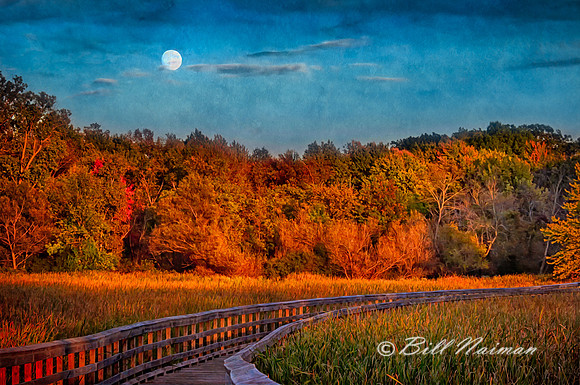 Moon Rising in Fall at Sunset - Textured
