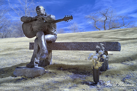 Lakeview Cemetery - Sculpture (2) - Infrared Faux Color