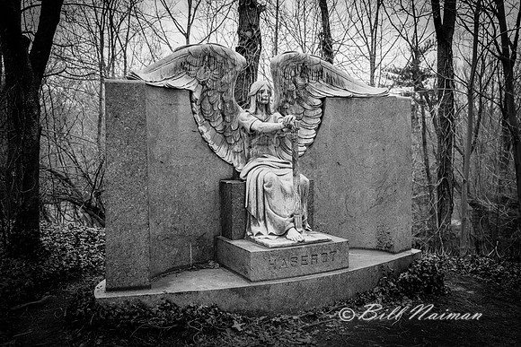 Haserot Angel - (2)