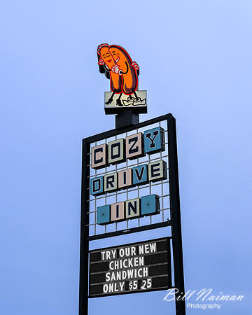 RT 66-Cozy Dog Drive In-2026_03_17-0046