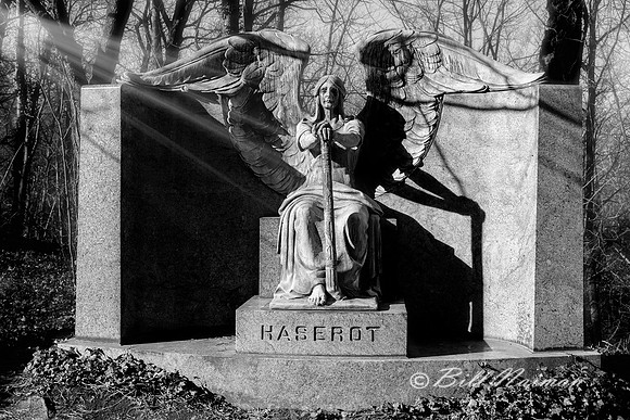 Haserot Angel (4)