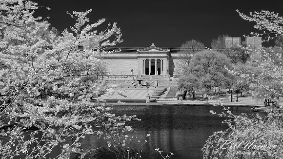 Cleveland Art Museum Lagoon (3) - Infrared B&W