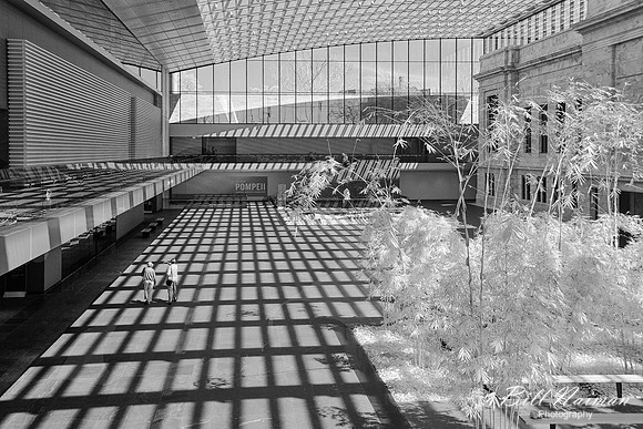 Cleveland Art Museum Atrium (1) - Infrared B&W