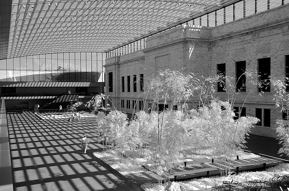 Cleveland Art Museum Atrium (2) - Infrared B&W