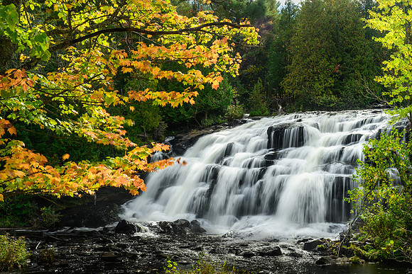 Bond Falls Michigan UP-2024_10_02-4397
