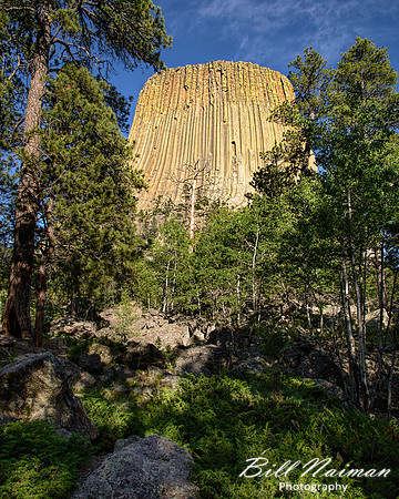 Devil's Tower