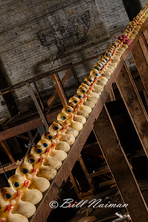 Rubber Duck Warehouse (8)