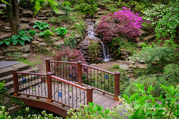 Springtime - Cleveland Botanical Garden