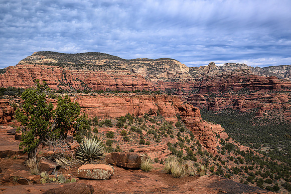 Sedona Red Rocks-2026_03_22-0685